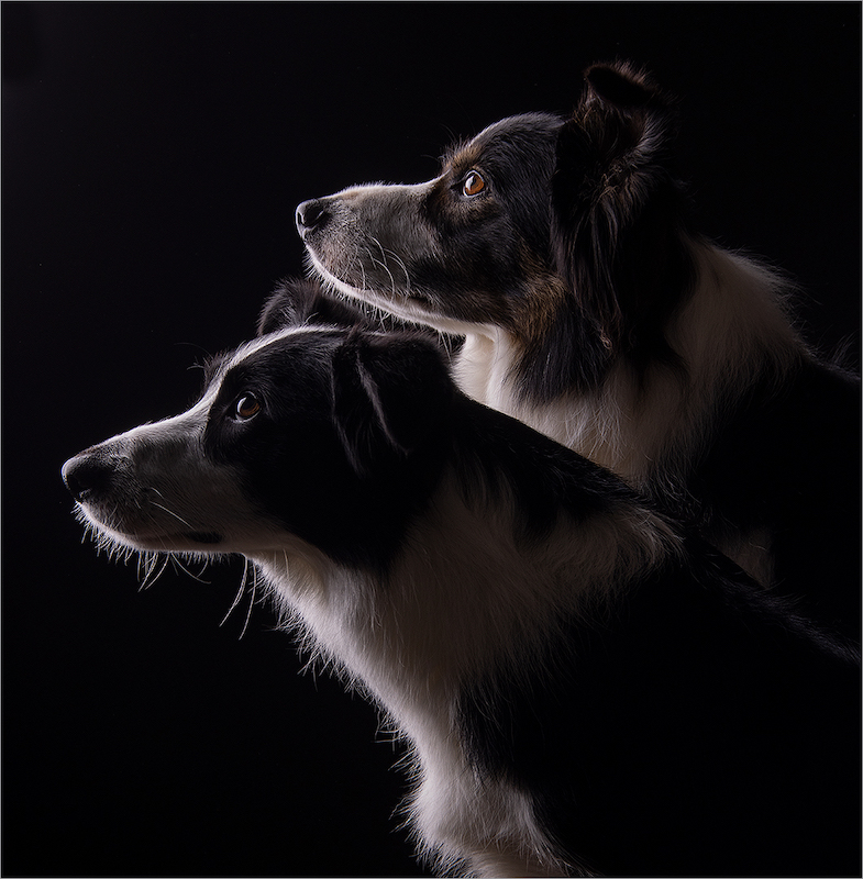 2210-Peter Thomas-Brandpunt Fotoklub-FIAP Bronze Medal-10th Luxembourg International Digital Contest 2022-Brothers