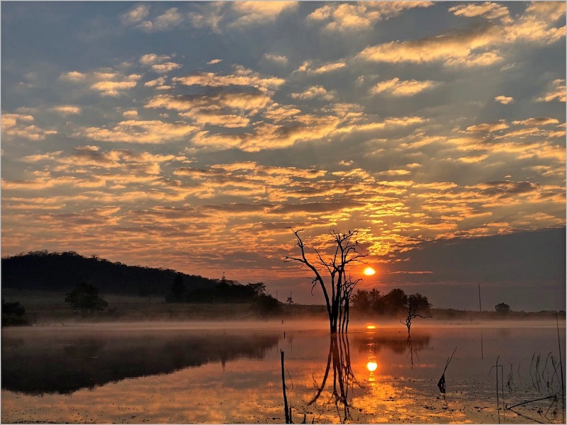 Up&Coming Bronze Medal-Scholar-Cellphone Cameras-Open-Oggendson-Daniél Conradie-Schools-Charlie Hofmeyr Hoerskool FK