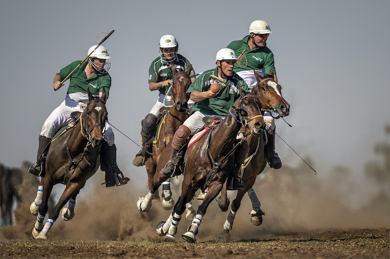 EPS Club Medal-PJ and Sport Colour-Polox-SA Champs 2016-15-James Russell-Southern Suburbs Camera Club
