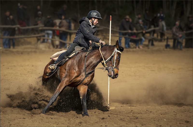 PaarlPC Club Silver Medal-Sport Colour-Extreme pole rider-Dries Fourie-Vereeniging Photographic Society