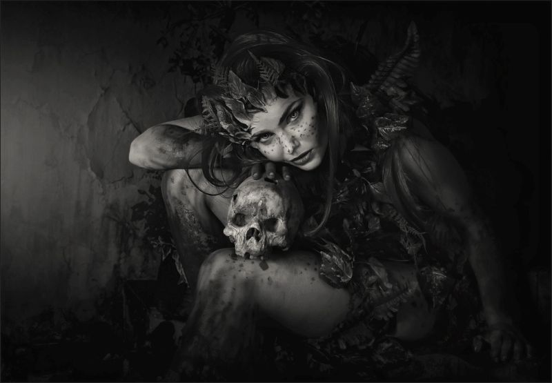 PSSA Medal - Winner - Open Monochrome-Dries, Fourie - Vereeniging Photographic Society - Beatiful revenge