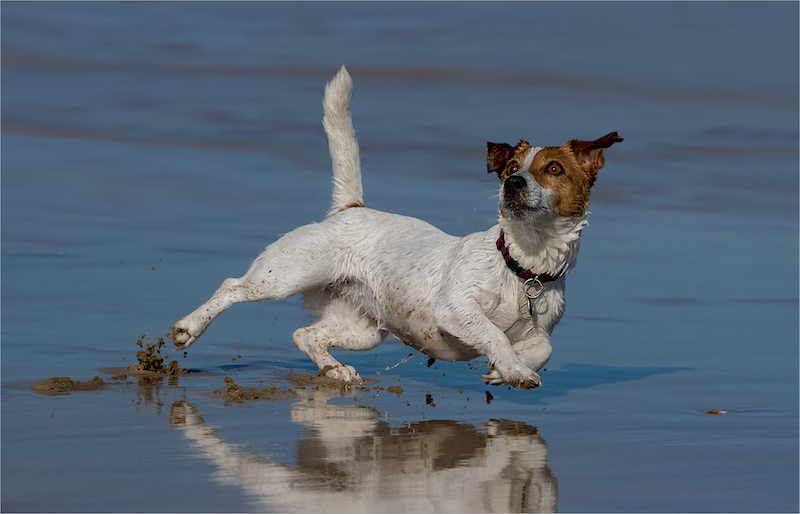 PSSA Silver Medal - Open Colour - Gefokus - Gerda Fouche - Eden Photographic Society