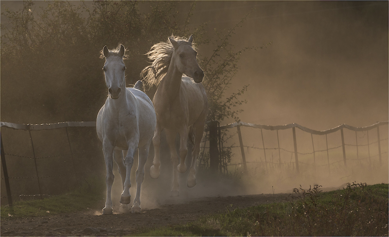 PSSA Silver Medal - Open Colour  Dusk at Moolmanshoek  Chanel Enslin Vanderbijlpark