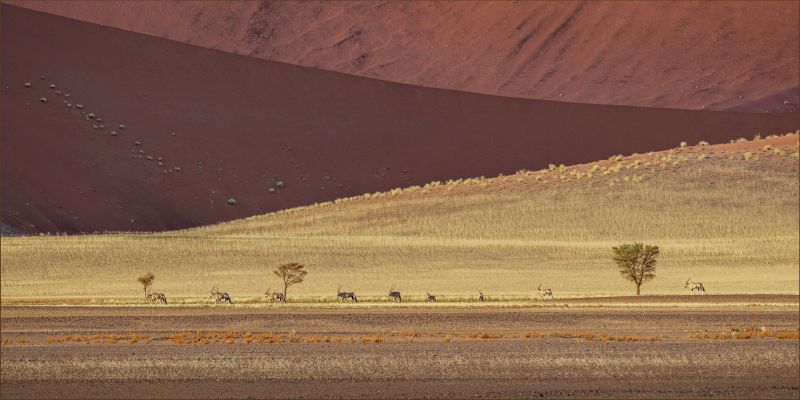 PSSA Silver Medal - Scapes Colour - Sossus trek - Phil Sturgess - Hermanus Photography Club