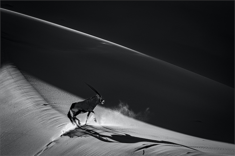 Bethal Silver Medalje-Open Monochrome-Cresting the dune-Dewald Tromp-Midlens Fotoklub