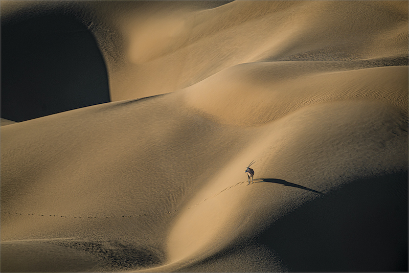 PSSA Silver Medal - Nature No Birds - Colour - Nomad - Dewald Tromp - Midlens Fotoklub