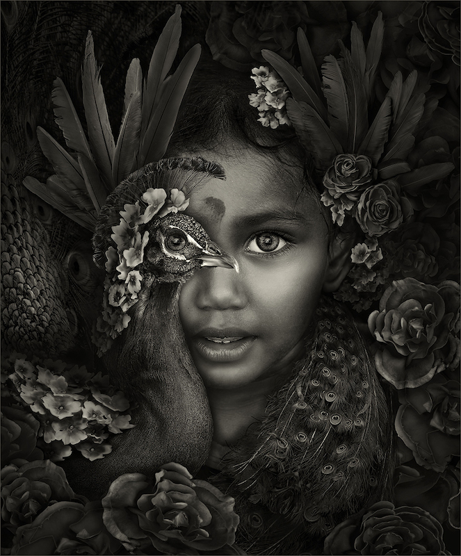 PSSA Silver Medal - Open Monochrome - A Childs dream world - Dries Fourie - Vereeniging Photographic Society