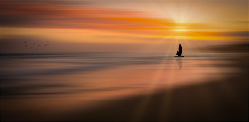 PSSA Bronze Medal - Scapes - Morning ride - Verinda Bosch - Eden Photographic Society
