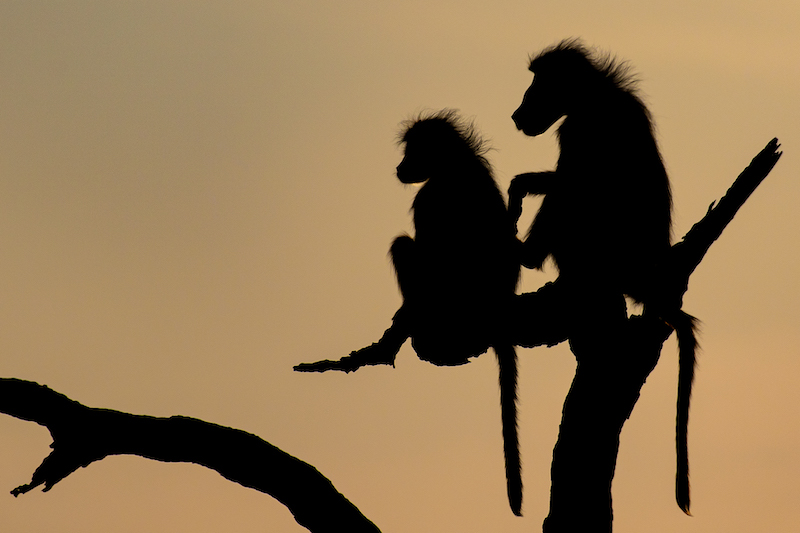 Derrick Smit Hanging out together