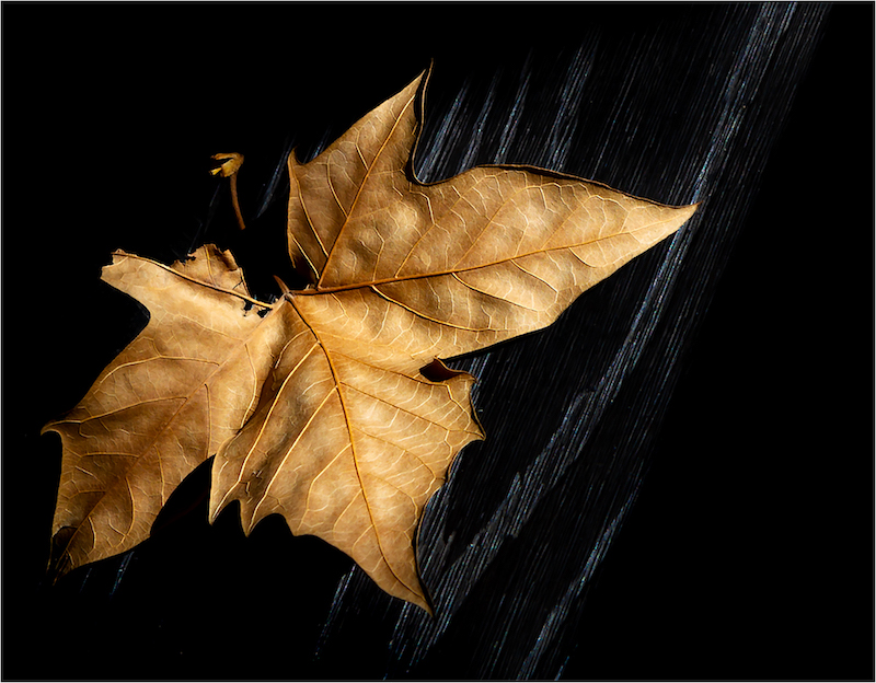 Giuseppe Carbonatto Winters on the Doorstep.jpg