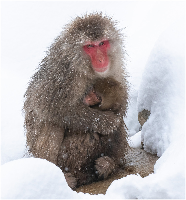 Karyn Parisi Keep Me Warm