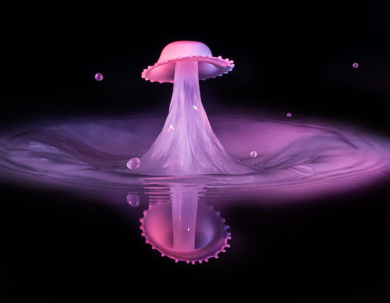 Karyn Parisi Pink Water Umbrella