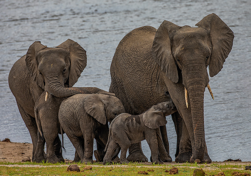 Lourens Durand Generations