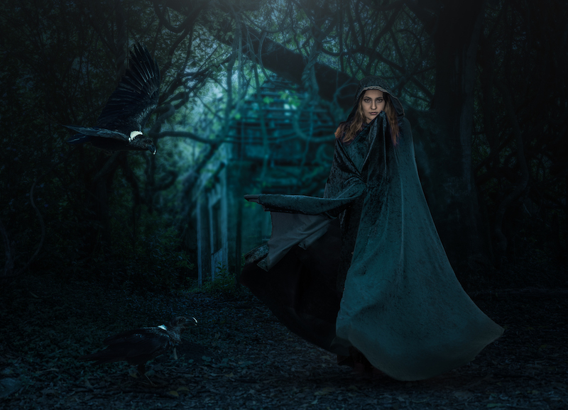 Wayne dos Santos Niz Deep in the Forrest