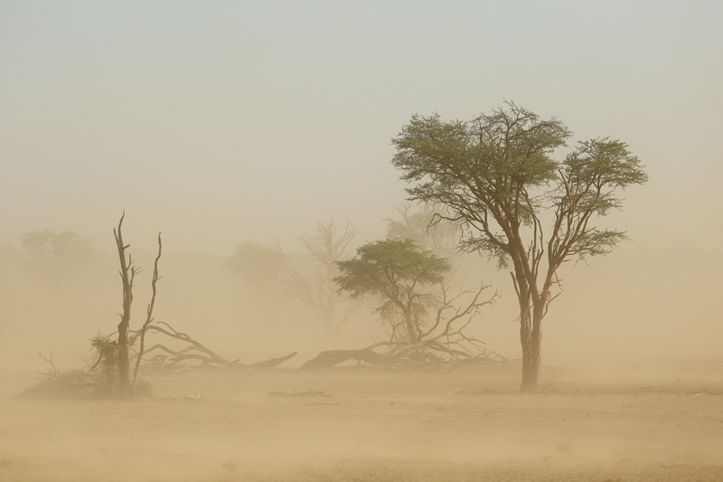 Nico Smit MPSSA - 22