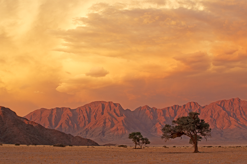 Nico Smit MPSSA - 24