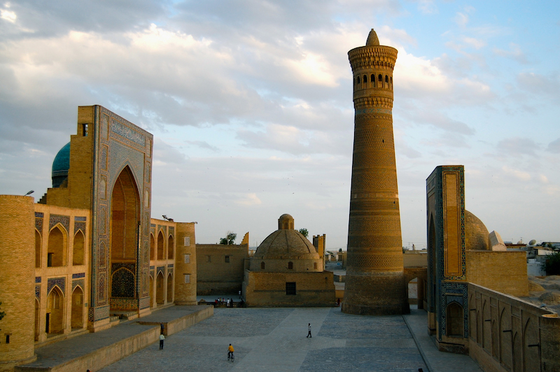 2301-David Wilson-Hermanus Photographic Society-Club Gold Medal-Frost Circuit- Kalon Ensemble Bukhara