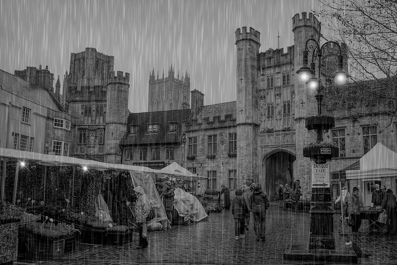 2301-David Wilson-Hermanus Photographic Society-ICPE Gold Medal-Sandven Salon-Market on a rainy day