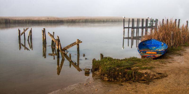 Maritzburg Camera Club - Leon Heyes - Bokkomlaan Morning