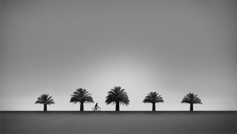 Tygerberg Photographic Society - DAVID BARNES - The Messenger