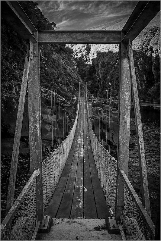 PSSA Bronze Medal-Scholar - Open Monochrome-Only way over the water-Sofia Van Der Merwe-Schools - Charlie Hofmeyr HS