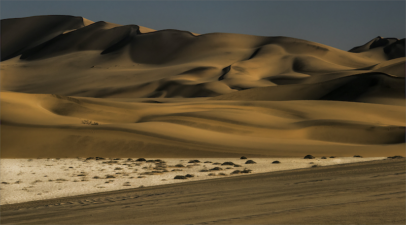RPS Bronze Medal - Scapes - Dunes - Gerrie Botha - Rustenburg Photographic Society