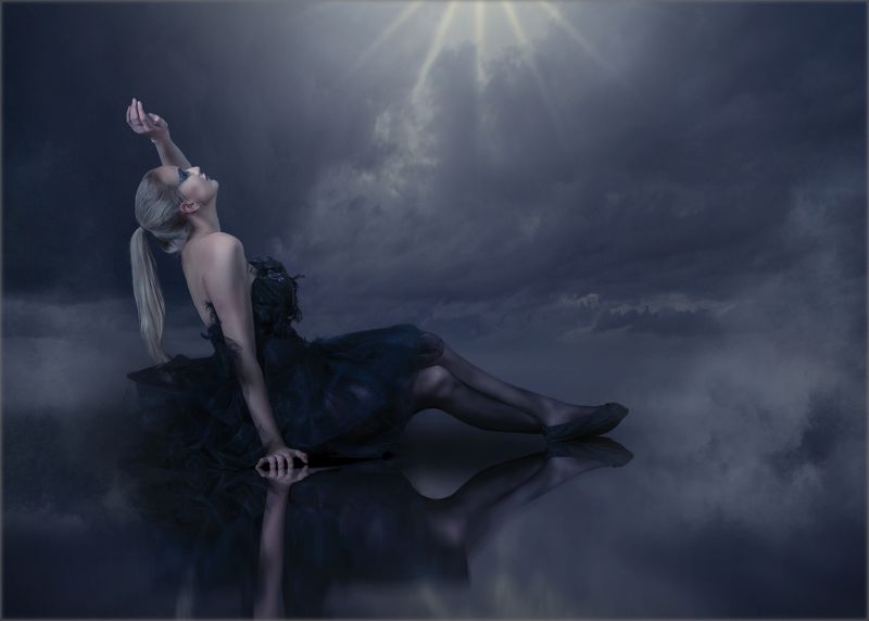 PAARL Bronze Club Medal-Open - Colour-7 Swan Lake-Alida Heine-Paarl Photographic Club