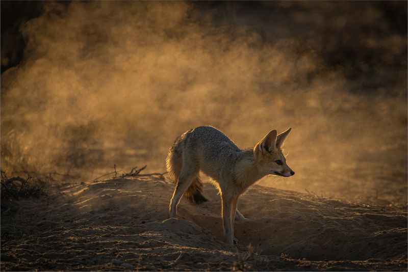 PSSA SILVER MEDAL-Prints - Open Colour-Vroegoggend Huisskoonmaak-Gonnie Myburgh-National Photographic Club