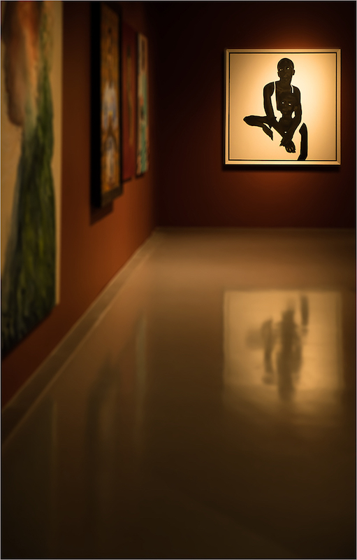 PSSA Silver Medal - Open Colour -Africa on display - Andre Stipp - Swartland Fotografieklub