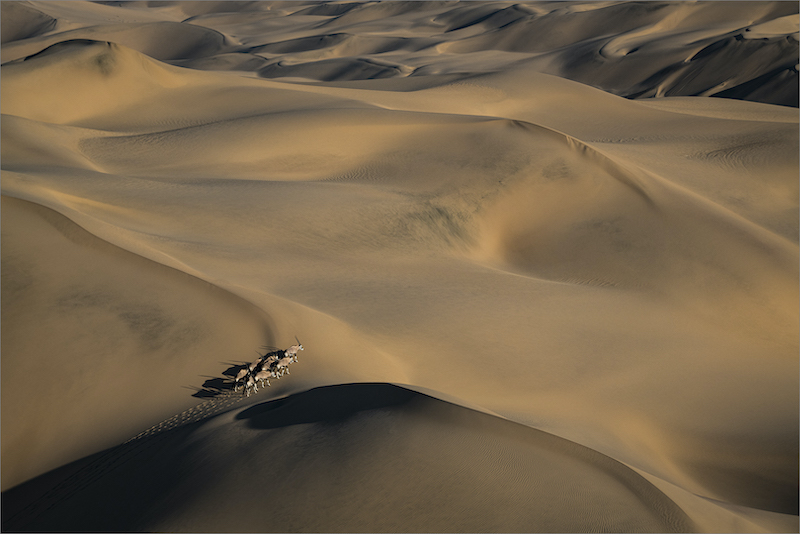 AFO Silver medal - Nature colour - Long road to nowhere -  Dewald Tromp - Midlens Fotoklub