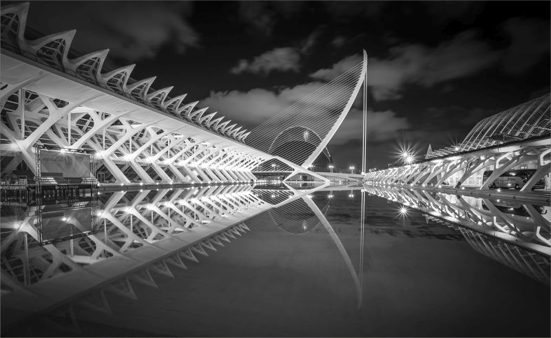 PSSA Silver Medal - Open Mono - Rib Cage - Melandie Kleinhans - Brandpuntfotoklub