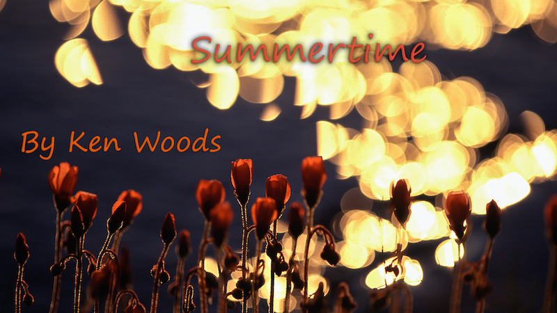 PSSA Silver Medal-Open-Summertime-Ken Woods-Cape Town Photographic Society