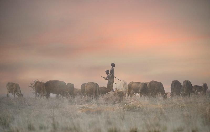 Amber Camera Club Silver Medal-Creative Colour-Boys with their beasts-Ursula Baumann-Vereeniging Photographic Society
