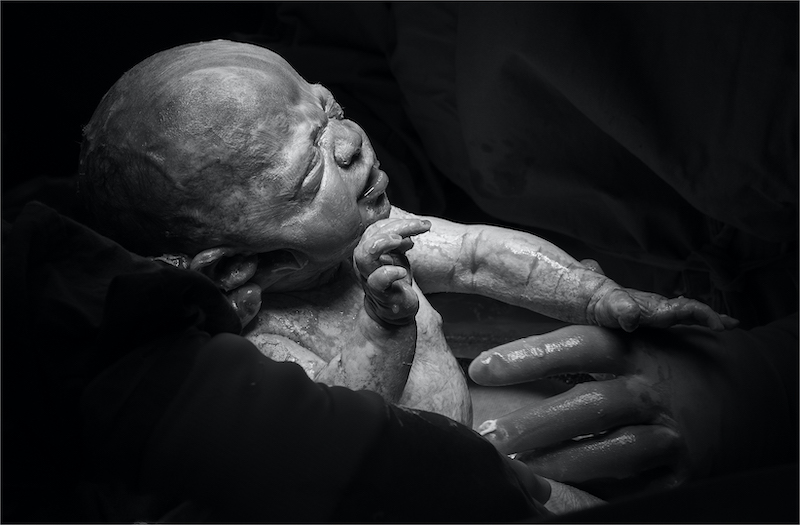 CCC Bronze Medal - Open Monochrome - New Life - Christine Landsberg - Centurion Camera Club