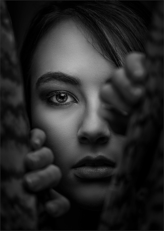 CCC Silver Medal - Open Monochrome - Looking Through - Hannes Claasens - Midlens Fotoklub