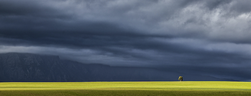 CCC Silver Medal - Scapes Colour - Just one - David Wolstencroft - Edenvale Photographic Club