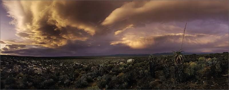 PSSA Bronze Medal - Landscapes Colour - After the rain - Peter Hardcastle - SFK