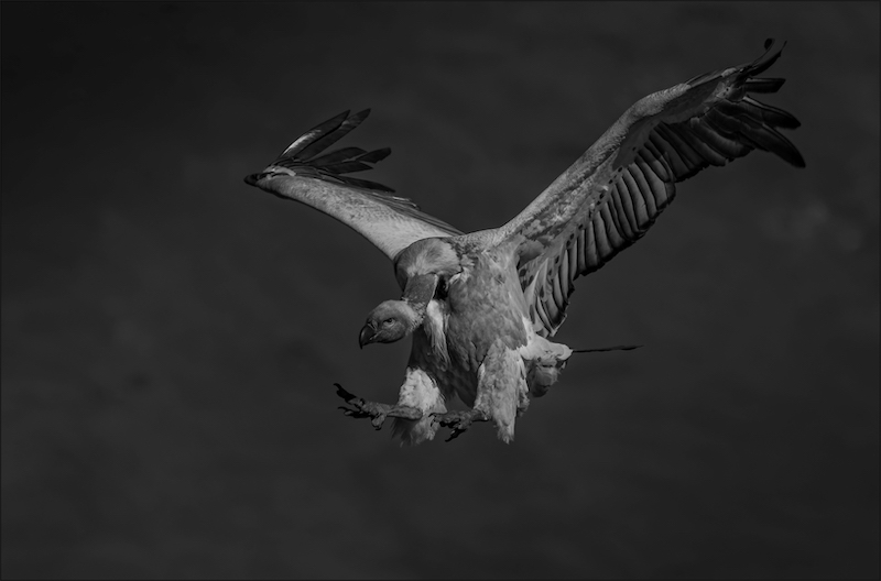 PSSA Silver Medal - Open Monochrome - Runway in sight - Leon Drotsky - EFK