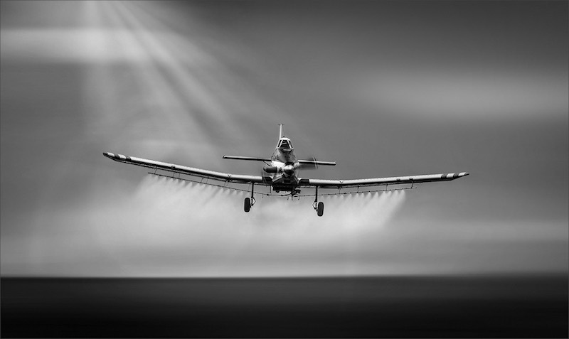 SSCC Silver Medal-Open Mono-Crop duster-Hannes Classens-Midlens Fotoklub