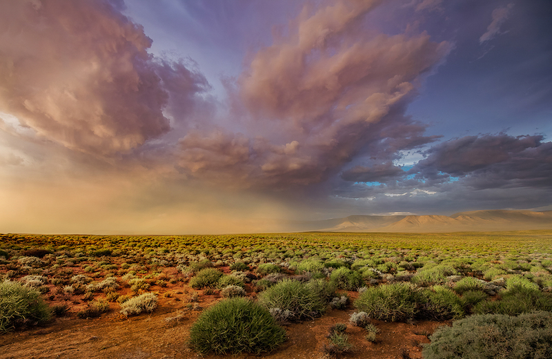 PSSA Silver Medal-Scapes -Dina van Wyk -National Photography Club -Dust with the storm