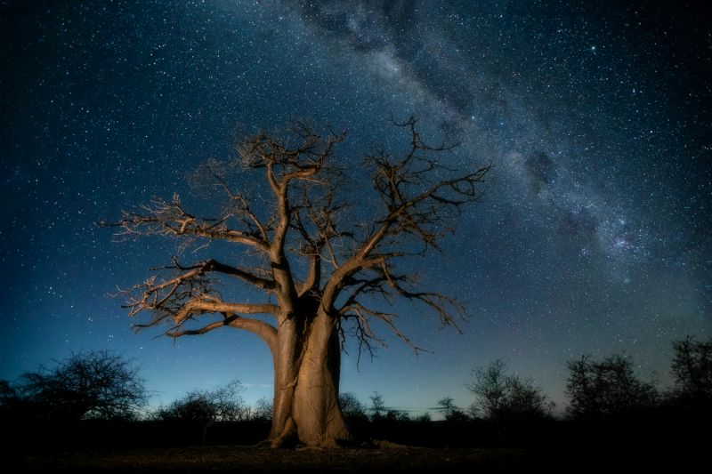 CLUB SILVER MEDAL Open Colour Blue starry night Alta Oosthuizen National Photographic Club
