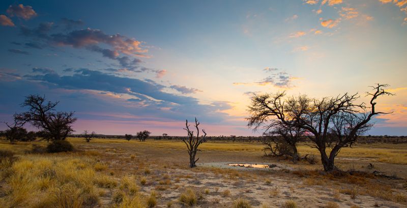 PSSA SILVER MEDAL Prints - Open Colour Daybreak at Nossop Nicol du Toit Cape Town Photographic Society