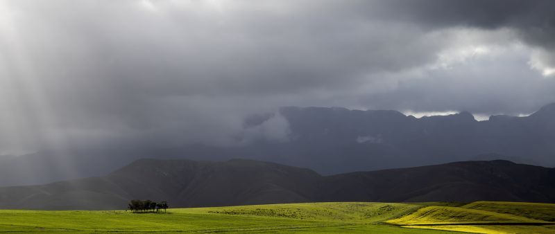 PSSA SILVER MEDAL Scapes - Colour Lonely trees David Wolstencroft Edenvale Photographic Club