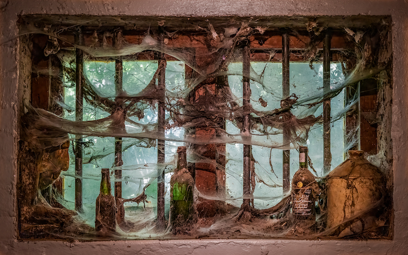 TAFKLUB Bronze Medal - Prints Open Colour - Forgotten Window PC - Dixon Norval - Tafelberg Fotografieklub