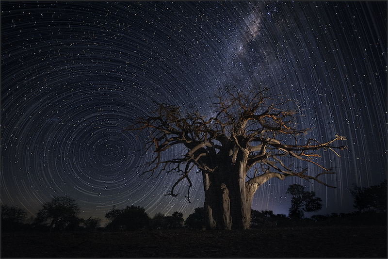 TAFKLUB Silver Medal - Prints Open Colour - Africas Calling G 5 - Rodney Cory - Southern Suburbs Camera Club