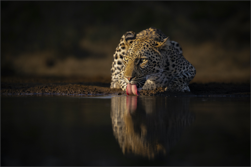 TPS - Nature - Colour - PSSASilverMedal - Sundowner time - Dewald Tromp - Midlens Fotoklub