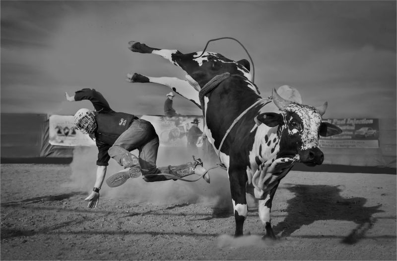 PSSA Runner-Up Bronze Medal- Juniors-Open Monochrome -Take that my boy-Rehet Cilliers- Kosmos Fotografie Klub