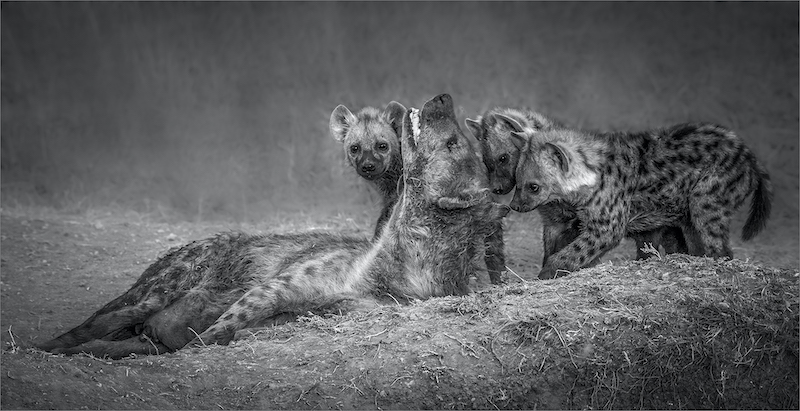 PSSA Silver Medal - Prints - Open Monochrome - Familietyd - Gonnie Myburgh-National Photographic Club