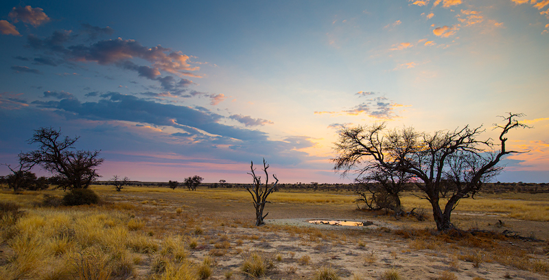PSSA Silver Medal-Open Colour Prints-Daybreak at Nossop-Nicol Du Toit-Cape Town Photographic Society