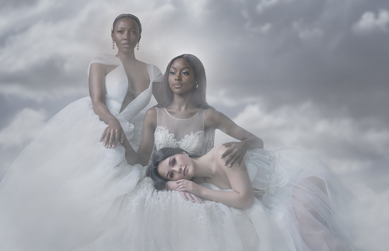 PSSA Silver Medal-Open Colour-Angels in heaven-Diane Goncalves-Brandpuntfotoklub